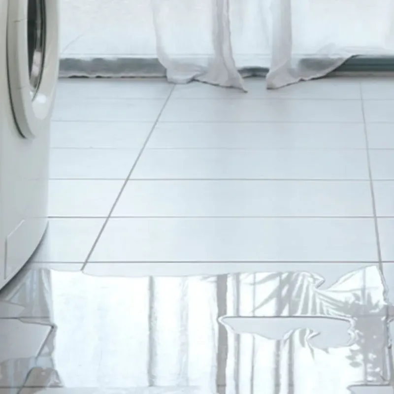 Appliance Leak Cleanup in Auburn, CA
